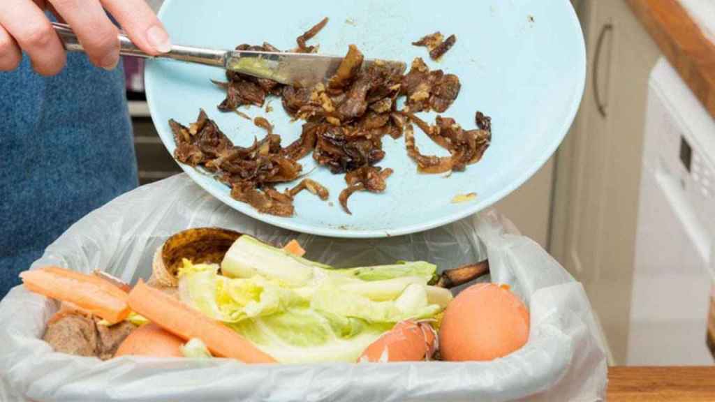 Tiran comida a la basura / RTVE