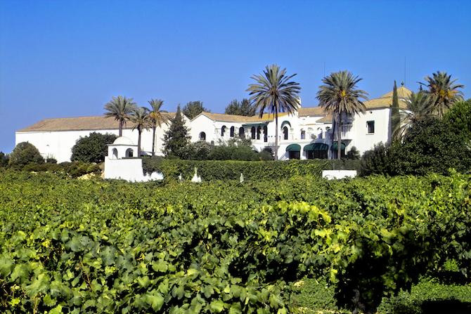 Una foto de la finca de Viladellops, vino del Penedès