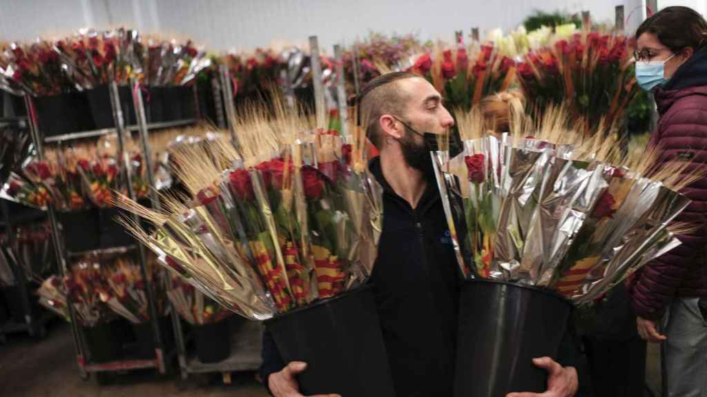 Un florista transporta varias decenas de rosas este jueves en Mercabarna-Flor donde trabajan a buen ritmo para la diada de Sant Jordi de este próximo sábado / EFE