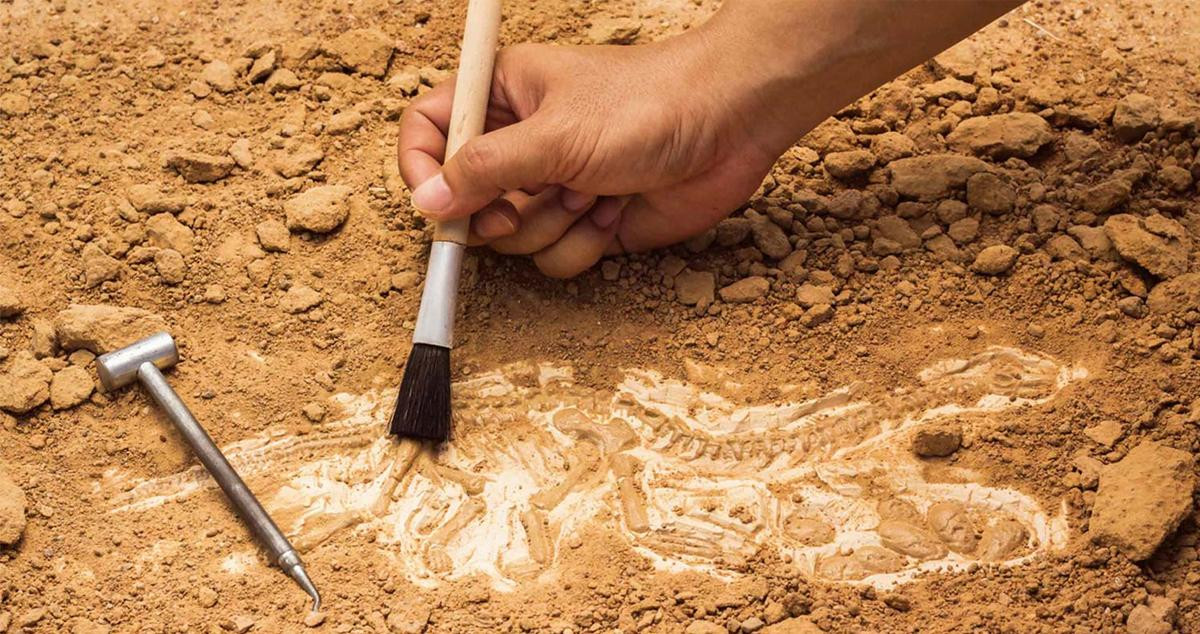 Una excavación arqueológica / UAB