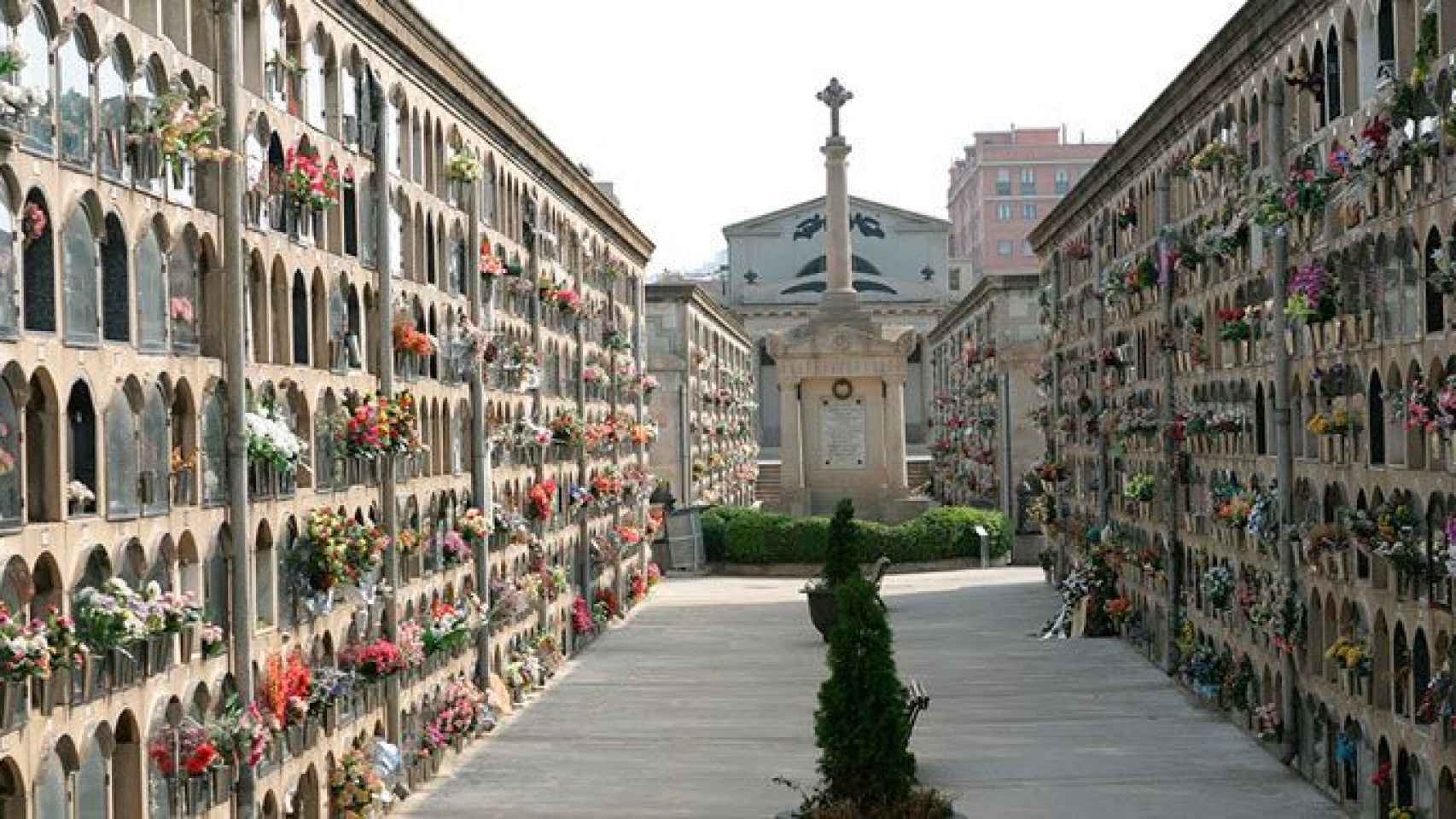 Una foto del Cementerio de Montjuïc / CG