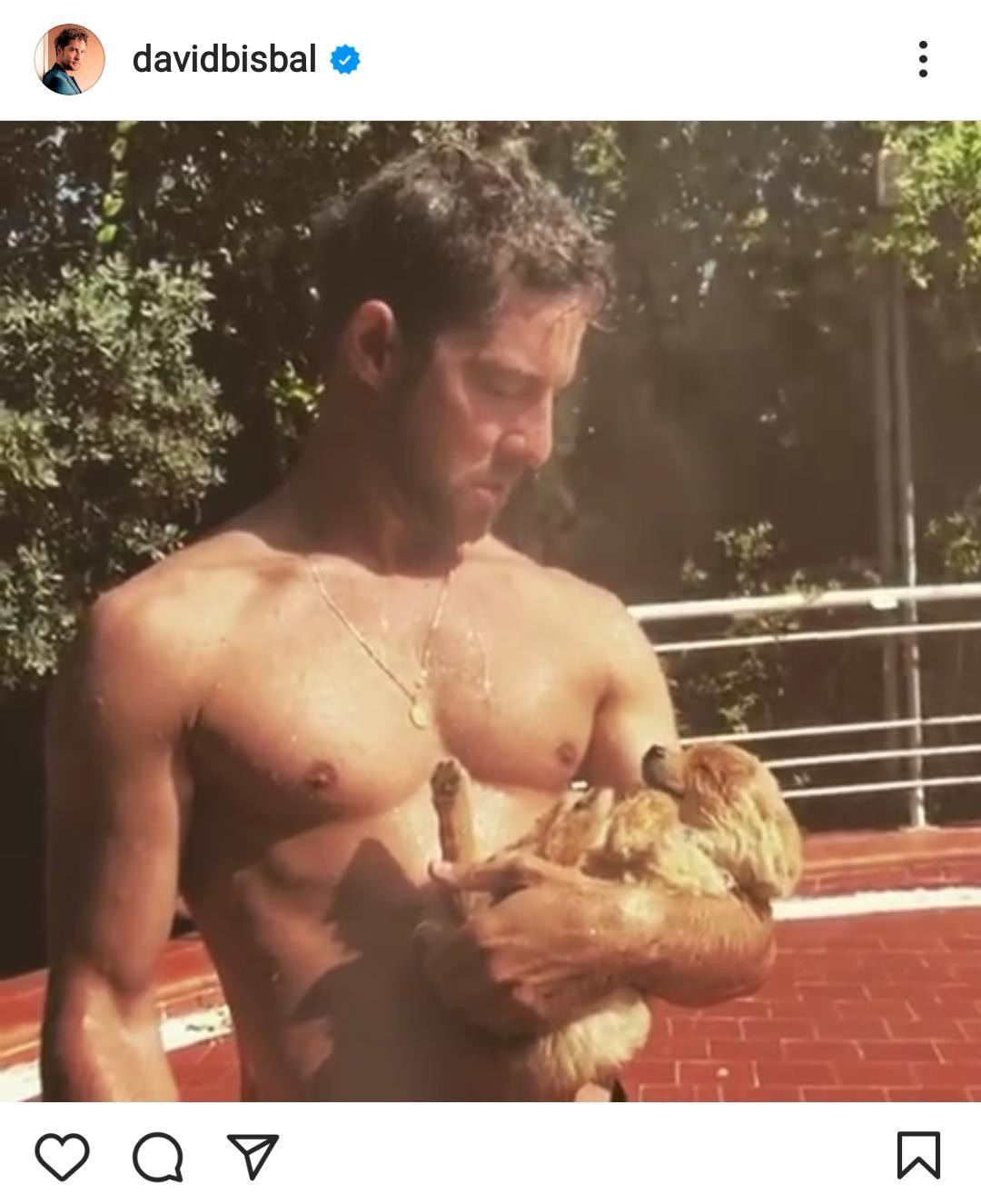 David Bisbal, mojado con su perro / INSTAGRAM