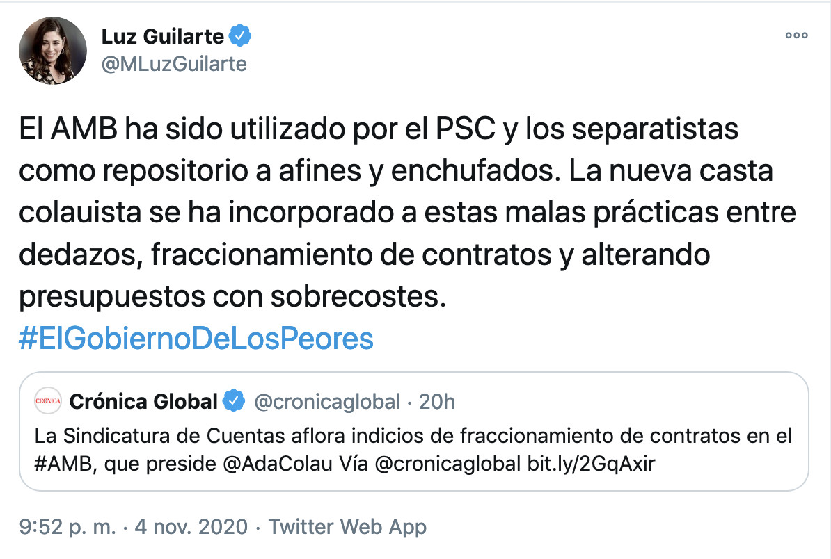 Luz Guilarte, presidente del grupo municipal de Cs, critica los dedazos en el AMB / TWITTER