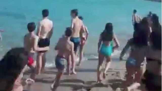 Captura del momento en que los bañistas se asustan por la presencia de un supuesto tiburón en Mataró