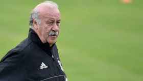 El seleccionador español, Vicente del Bosque, durante un reciente entrenamiento del combinado nacional en Austria.