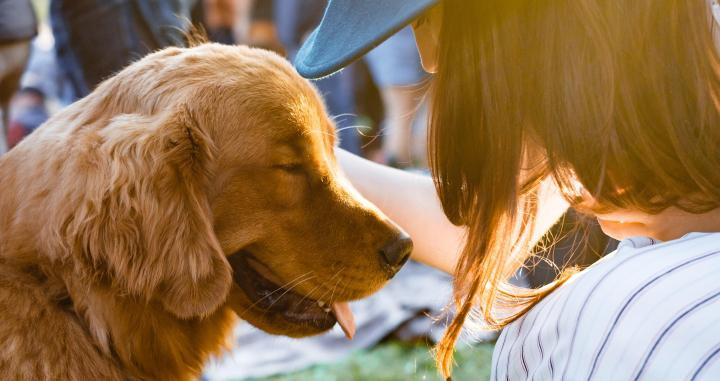 Chica acariciando a un perro / ADAM GRIFFITH EN UNSPLASH