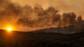 El Gobierno aprueba un decreto ley para frenar los incendios forestales  / Brais Lorenzo - EFE