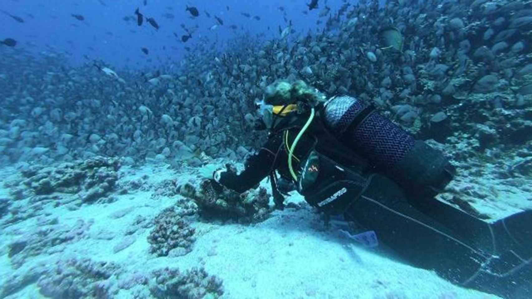 El buceo es una actividad deportiva que se ha cobrado víctimas ese verano / Hallie Heeg en UNSPLASH