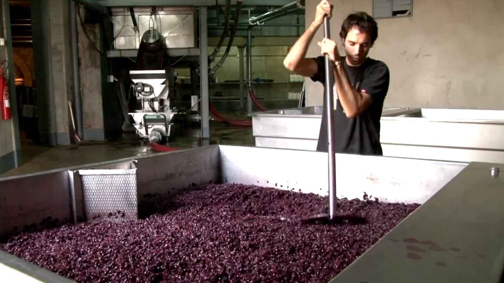 El sector del vino, preocupado por los aranceles de Trump