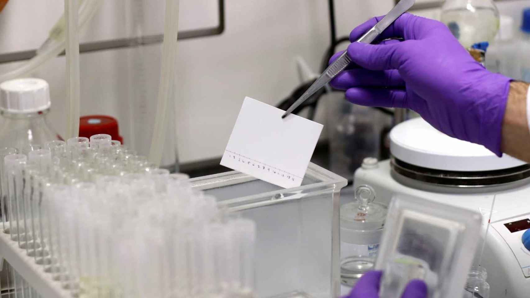 Laboratorio en el que realizan pruebas para encontrar una vacuna contra el coronavirus SARS CoV 2 / EFE