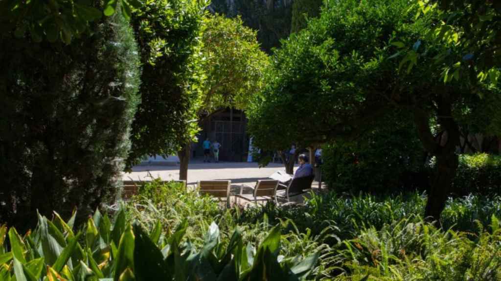 Jardines Palau Robert, cerrados desde octubre por la presencia de una plaga de ratas / AYUNTAMIENTO DE BARCELONA