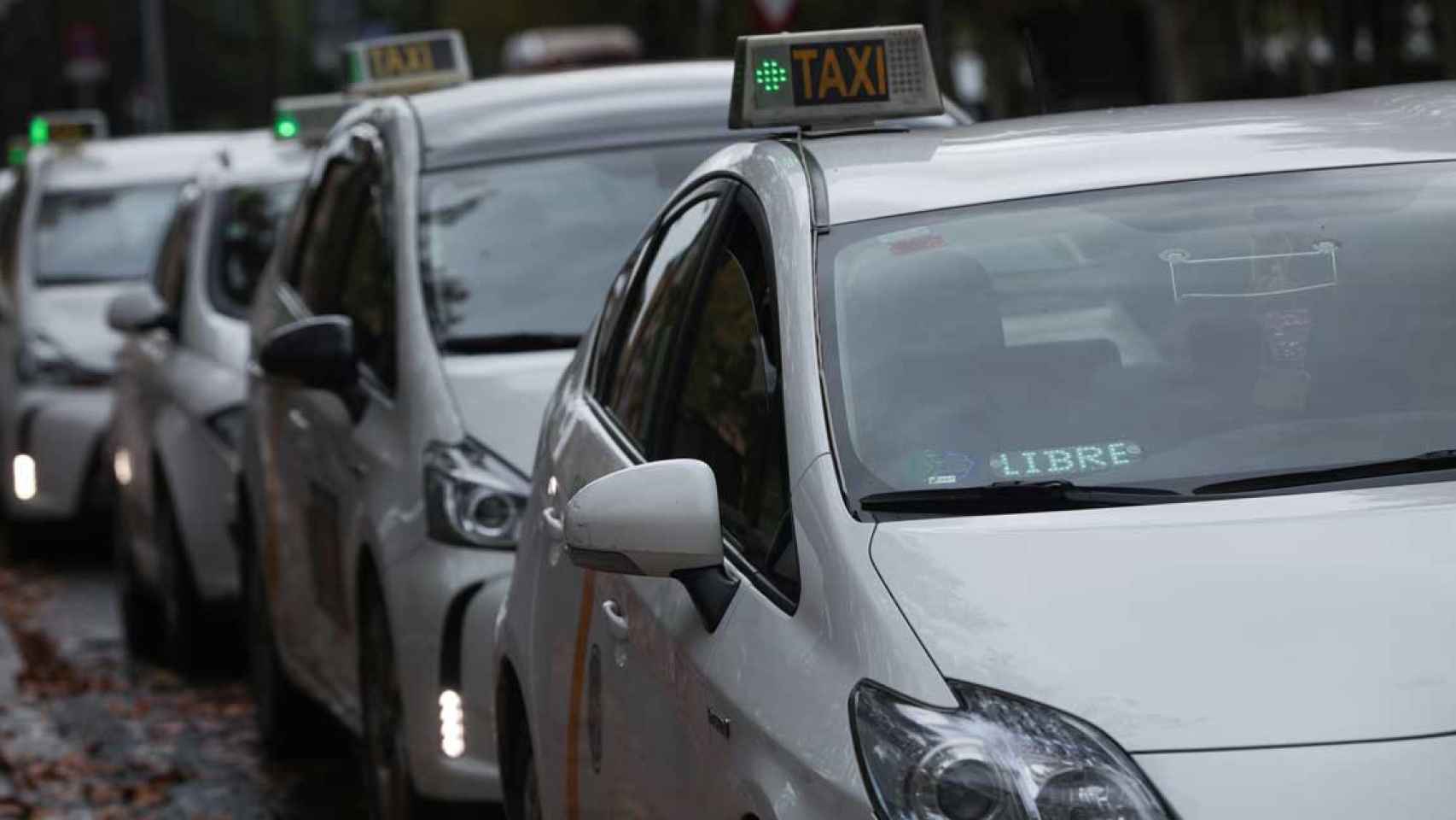 Varios taxis como los que hoy han recorrido las calles de Lleida en repulsa del crimen de un compañero el pasado domingo / EUROPA PRESS