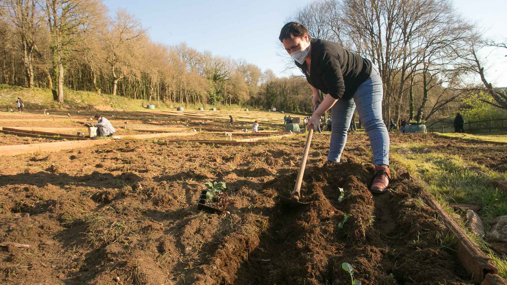 El futuro de la agricultura en Europa, en riesgo por un modelo 100% ecológico / EP