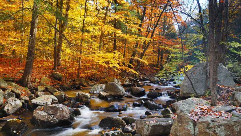 Paisaje bucólico en Santa Fe de Montseny / Shutterstock