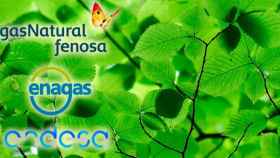 Los logos de Gas Natural, Endesa y Enagás, sobre una imagen de un árbol / CG