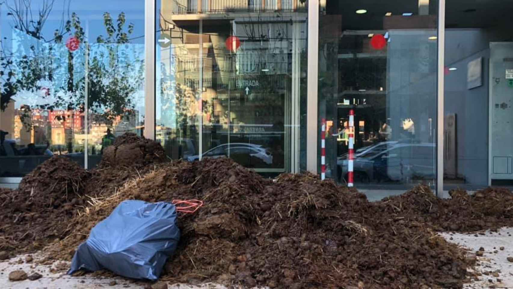 Los CDRs llenan de heces las puertas de los juzgados