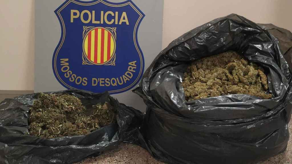 Imagen de los 7,2 kilos de marihuana incautados por la policía en Cunit / MOSSOS D'ESQUADRA