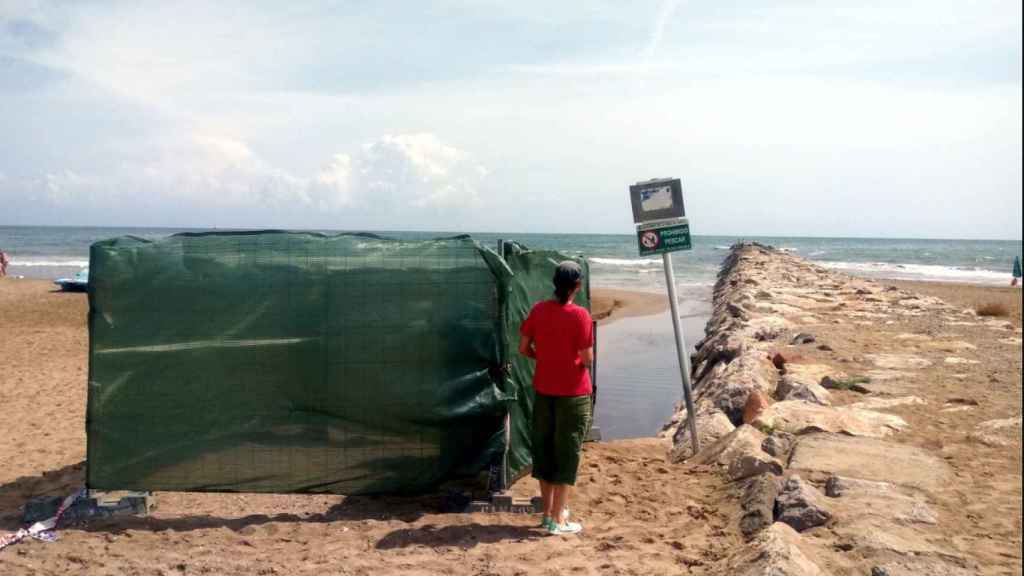 Punto de cloro instalado en una playa de Valencia para tapar la presencia de aguas fecales / ECOLOGIAS EN ACCIÓN