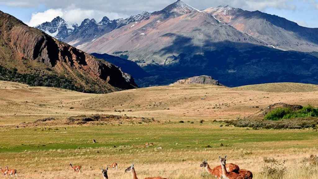 La fundación de los Tompkins invirtió millones de dólares en poner en marcha el Parque Patagonia que aparece en la imagen.