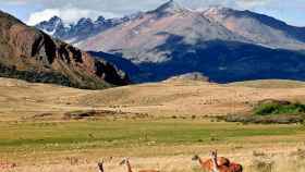 La fundación de los Tompkins invirtió millones de dólares en poner en marcha el Parque Patagonia que aparece en la imagen.