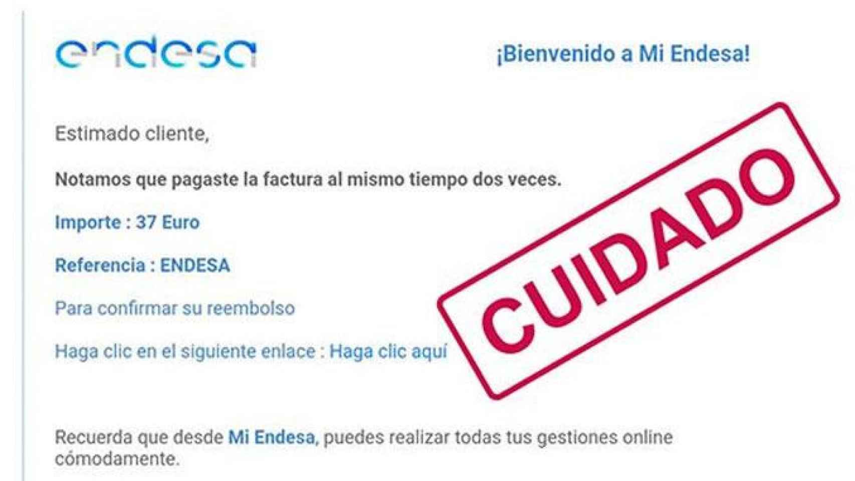 La falsa factura de Endesa / ENDESA