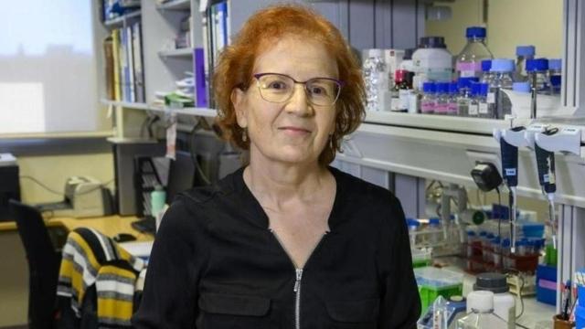 Margarita del Val, investigadora del CSIC /EP