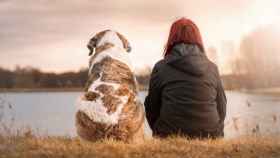 Un perro junto a su dueña, que se acaba de separar / EUROPA PRESS