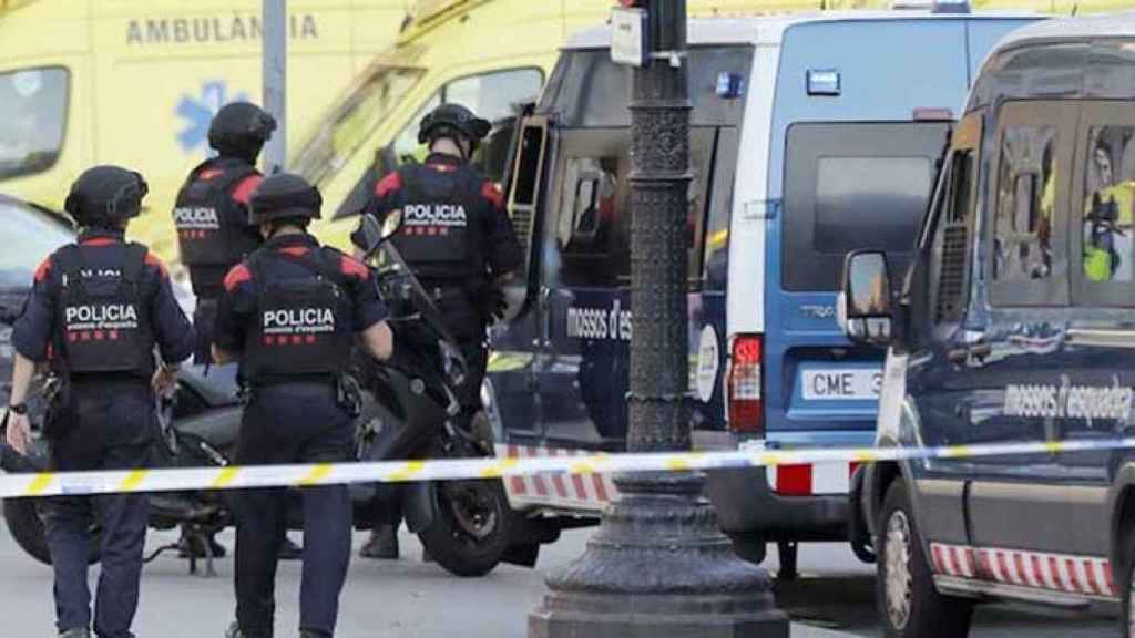 Mossos d'Esquadra, quienes llevan a cabo las operaciones antidroga, en una imagen de archivo