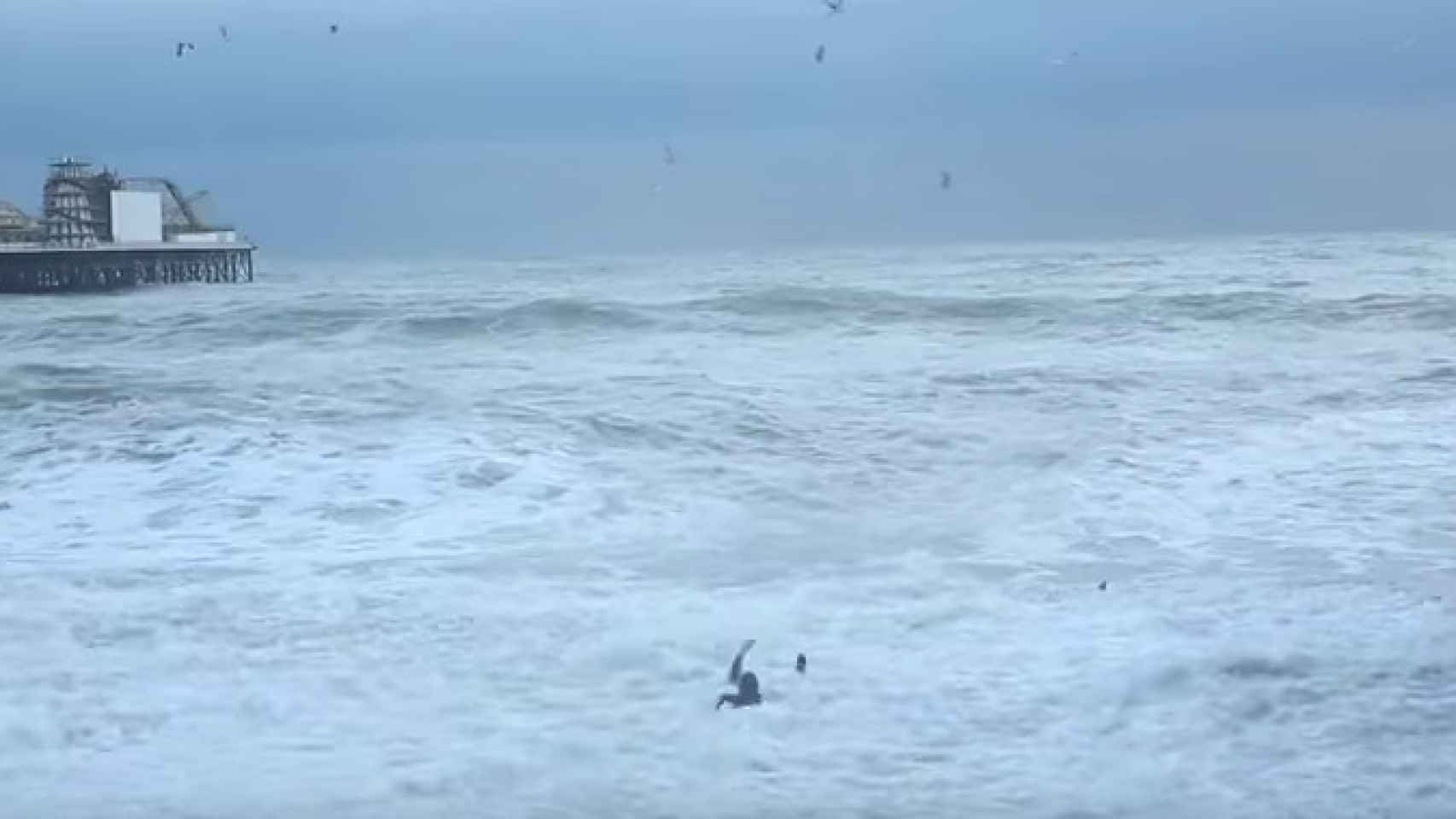 La mujer rescata a su perro del mar