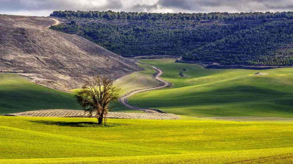 Una imagen de la comarca del Cerrato (Palencia)