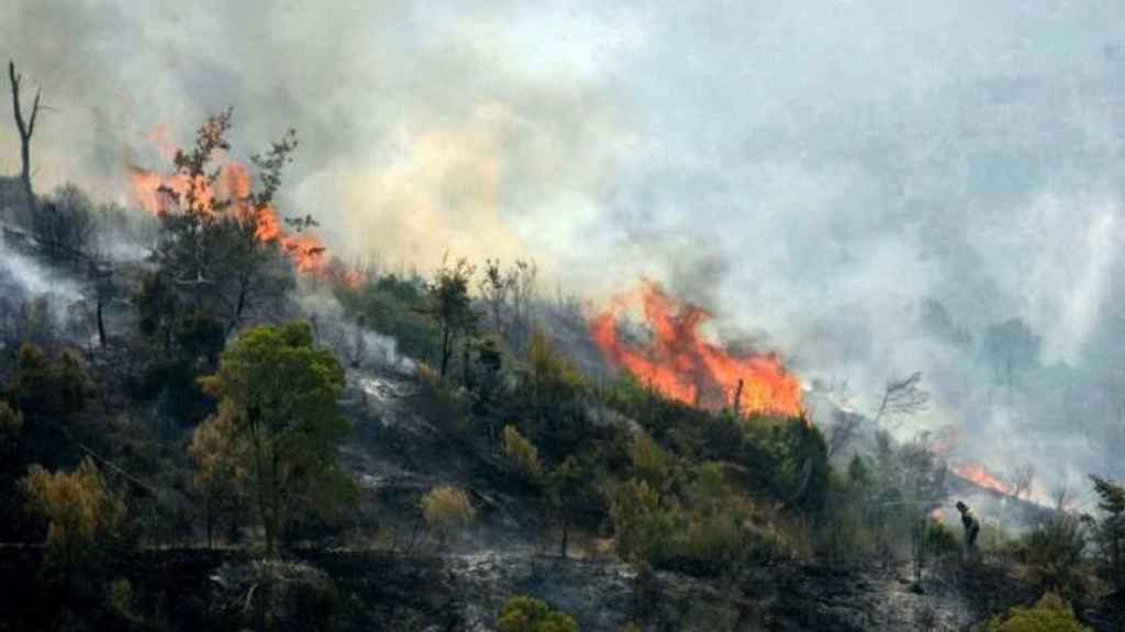 Incendio en Horta de Sant Joan en 2009 / EFE