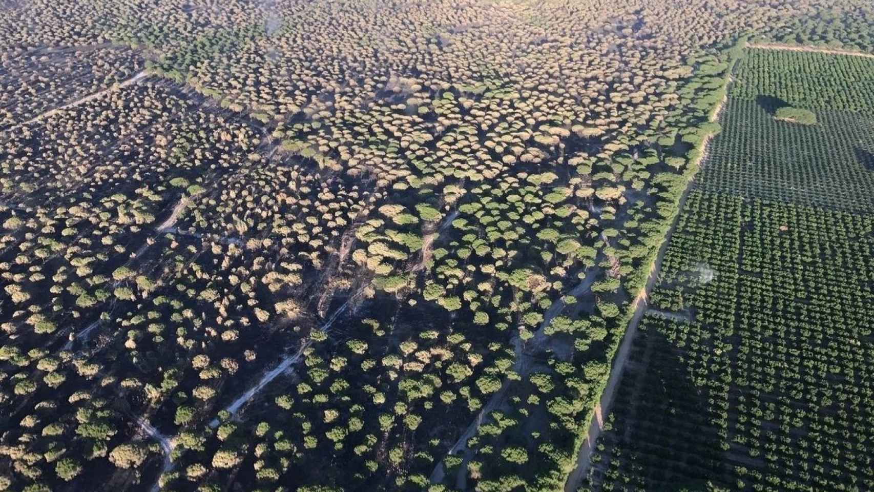 Imagen aérea de Doñana / EP