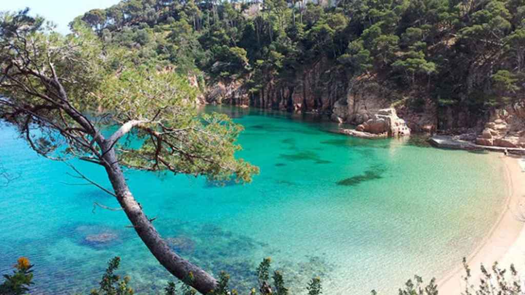 Playa Aiguablava de Begur, en la Costa Brava / AYUNTAMIENTO BEGUR