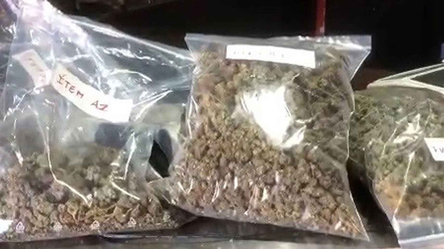 Marihuana incautada durante el registro a una asociación cannábica en Girona / MOSSOS