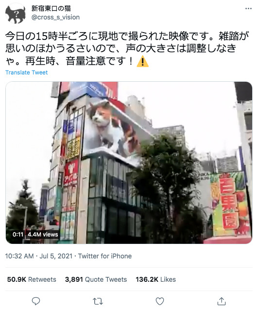 Publicación del gato en Tokio en Twitter / @cross_s_vision