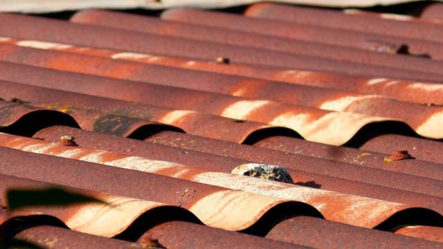 Un tejado de uralita / PIXABAY