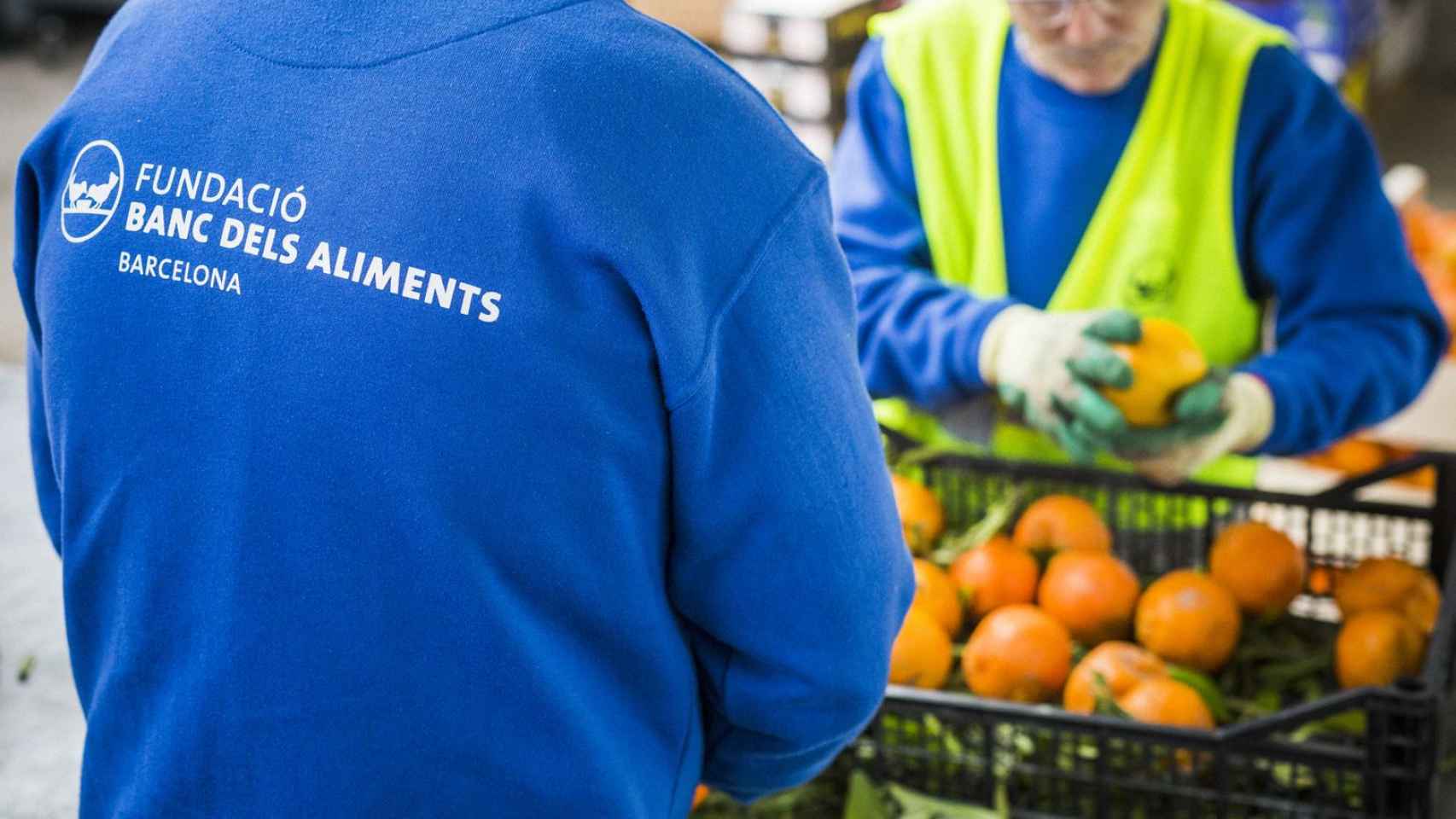 Trabajadores del Banco de los Alimentos de Mercabarna / CG