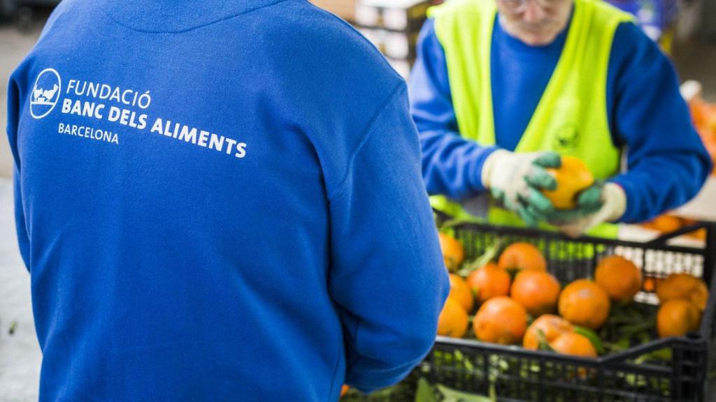 Trabajadores del Banco de los Alimentos de Mercabarna / CG