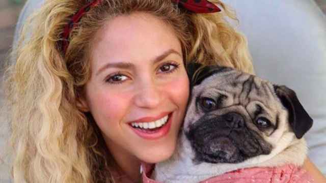 La cantante Shakira compartió una foto en su Instagram junto a un perro