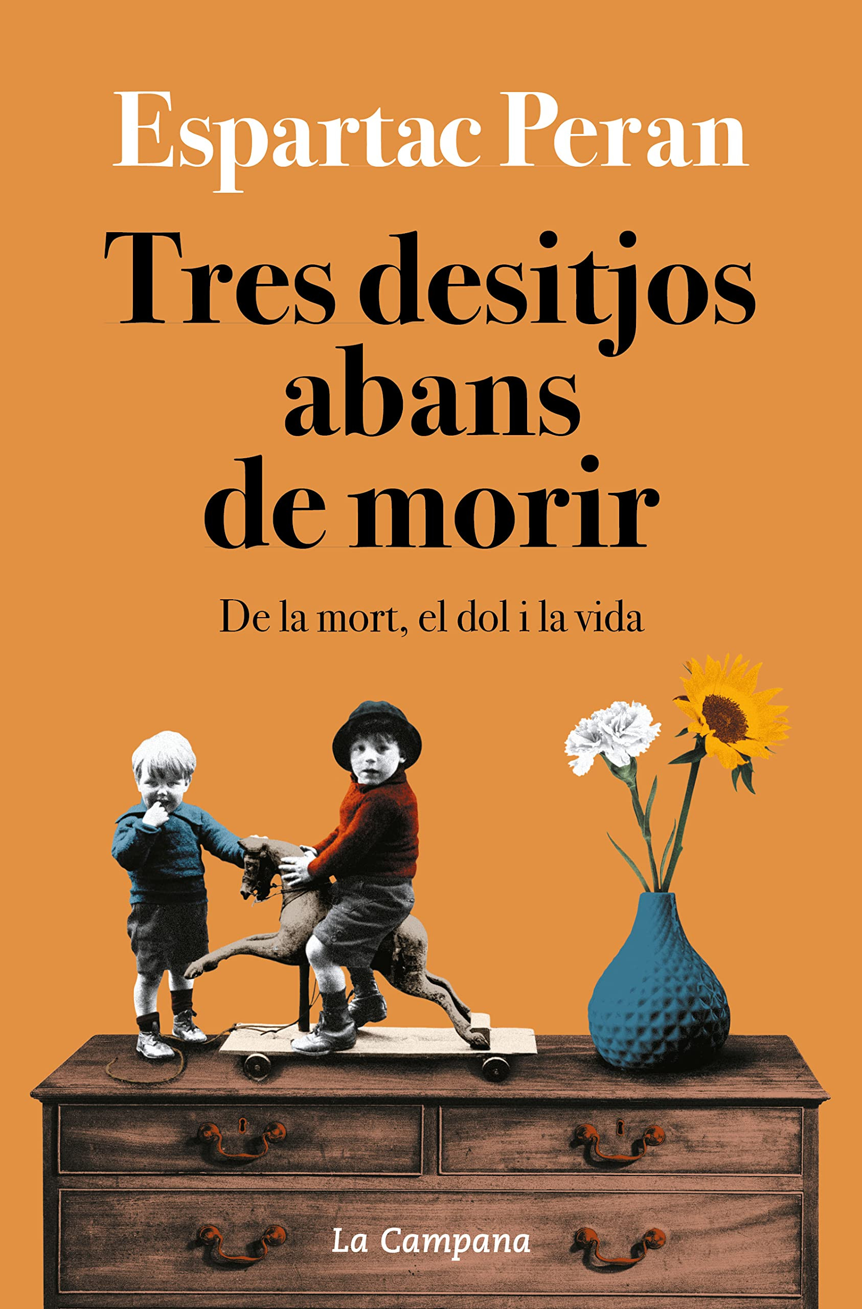 Portada de 'Tres desitjos abans de morir'