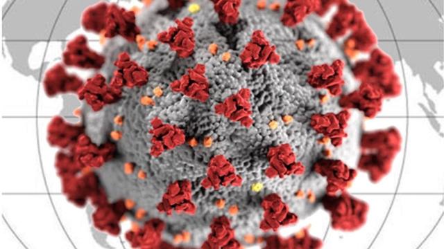 App de evaluacion de la pandemia del Covid-19 / IDIBELL