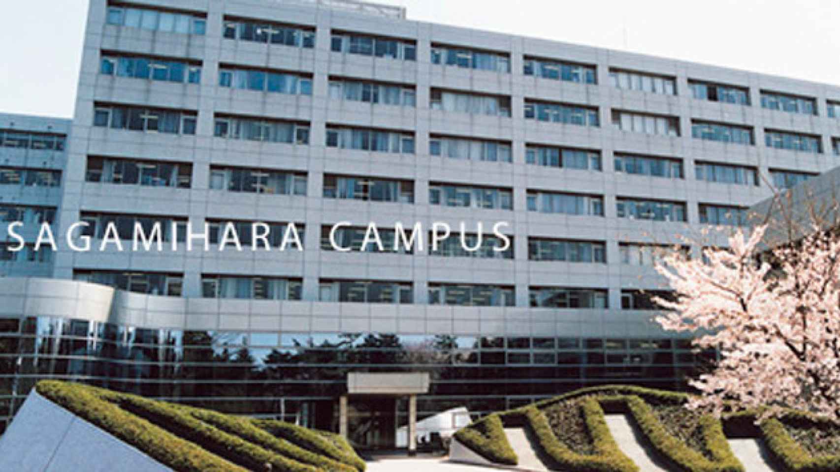 Imagen del campus de Sagamihara.