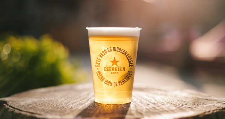 Vaso biodegradable