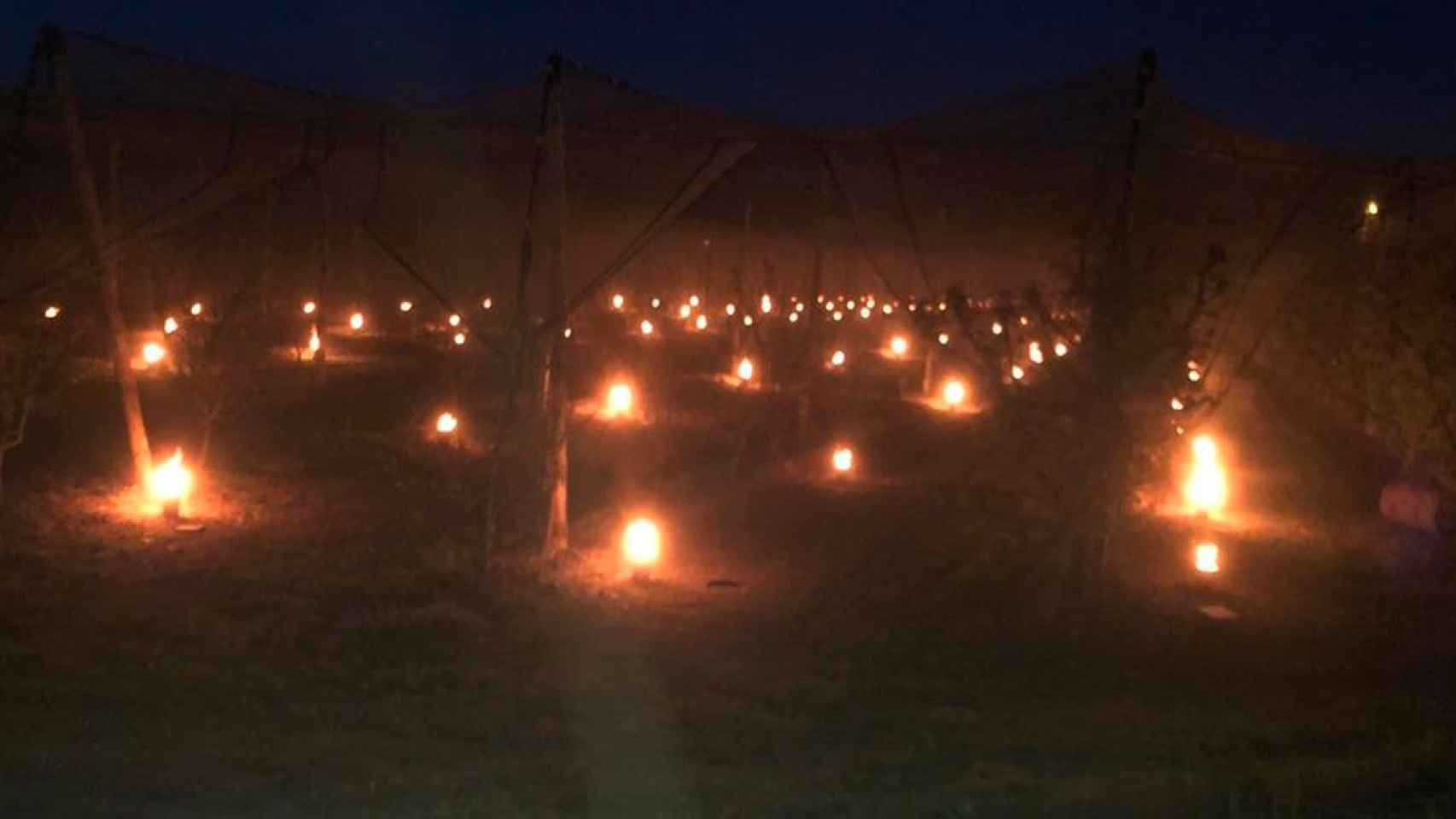 Botes de parafina quemándose en la madrugada del domingo en campos de frutales de Lleida para reducir los daños de las heladas / ASAJ