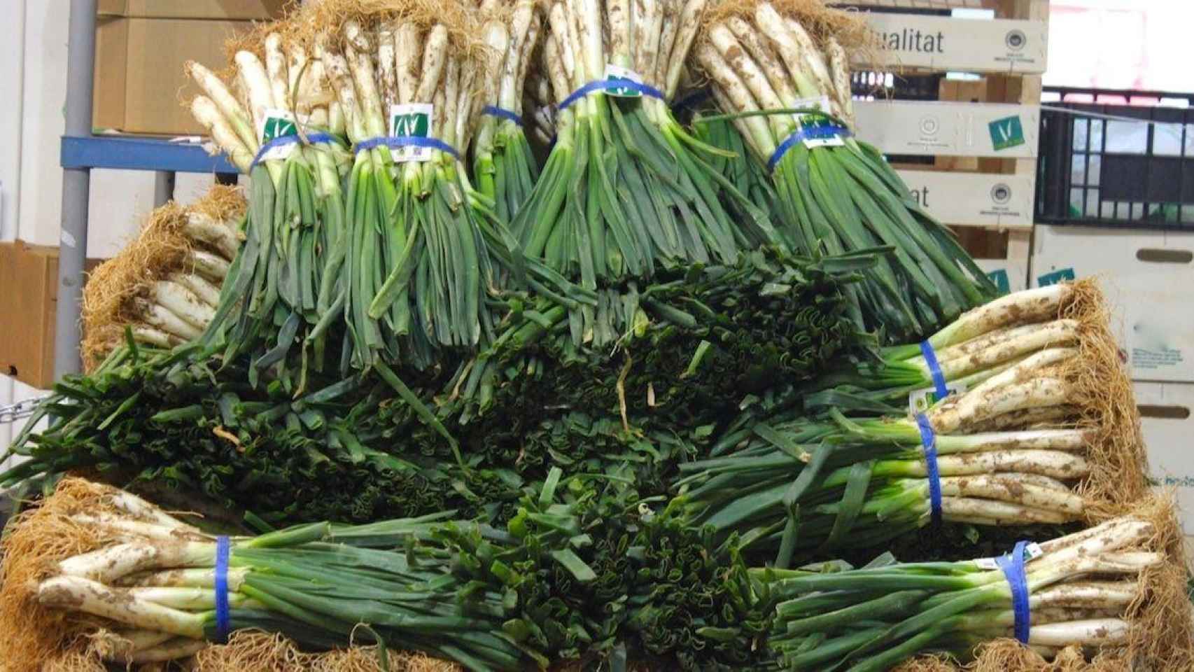 Calçots en un punto de venta del Mercado Central de Frutas y Hortalizas de Mercabarna / MERCABARNA