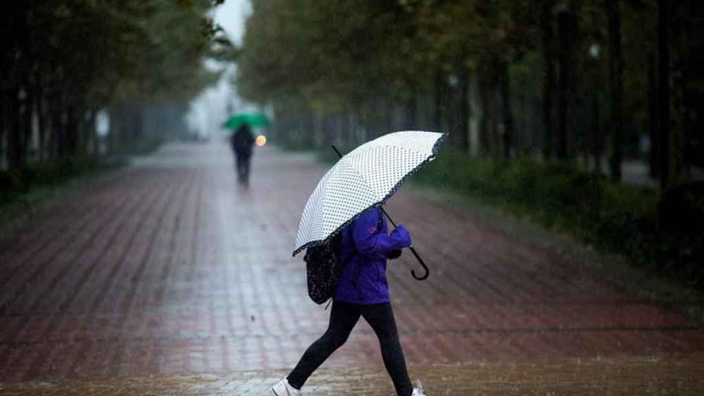 Imagen de un parque de Castellón durante las intensas lluvias del viernes / EFE