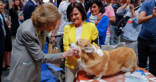 La reina Sofía en el World Dog Show / LUIS MILLÁN - EFE