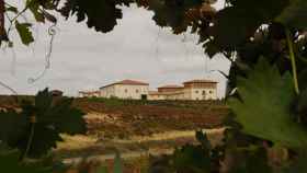 El exterior de la bodega de Torres de Anguix, que el grupo Juvé & Camps ha comprado / CG