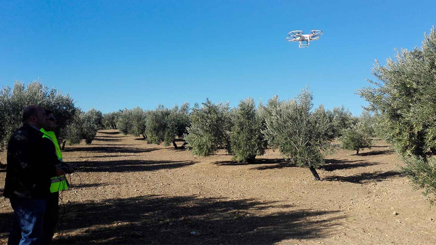 Agricultura de precisión en un olivar de Jaén, Andalucía / EP