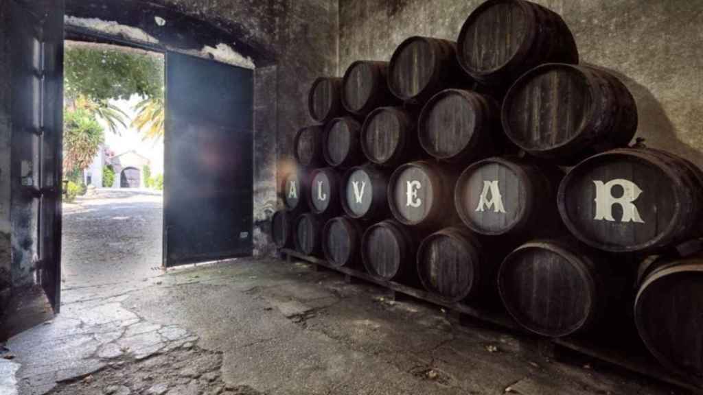 Bodegas Alvear, una de las bodegas más antiguas de España / BODEGAS ALVEAR